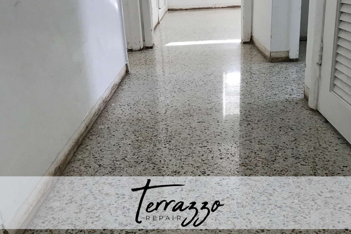 Cleaning Polishing Terrazzo Floors Miami