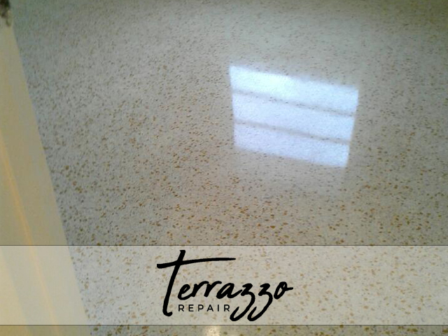 Terrazzo Cleaning & Polishing Terrazzo Cleaning & Polishing